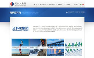 邁科龍官方網(wǎng)站設(shè)計(jì)制作 成功案例 沙漠風(fēng)網(wǎng)站建設(shè)公司